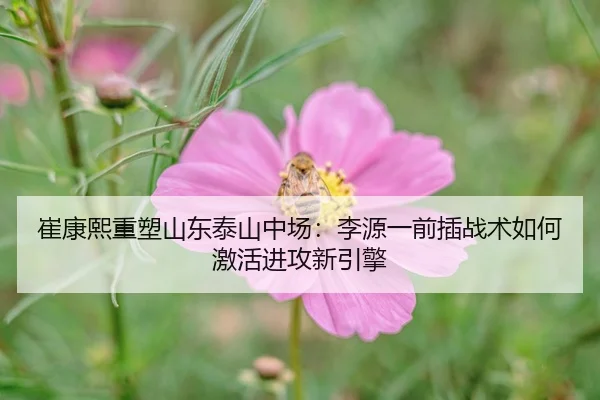 崔康熙重塑山东泰山中场：李源一前插战术如何激活进攻新引擎