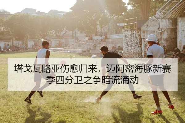 ta-ge-wa-lu-ya-shang-yu-gui-lai-mai-a-mi-hai-tun-xin-sai-ji-si-fen-wei-zhi-zheng-an-liu-yong-dong-3-517.jpg