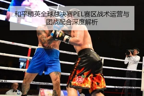 和平精英全球总决赛PEL赛区战术运营与团战配合深度解析