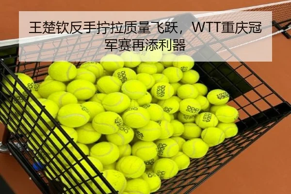 wang-chu-qin-fan-shou-ning-la-zhi-liang-fei-yue-chong-qing-guan-jun-sai-zai-tian-li-qi-3-823.jpg