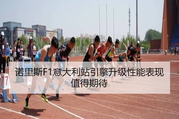nuo-li-si-yi-da-li-zhan-yin-qing-sheng-ji-xing-neng-biao-xian-zhi-de-qi-dai-2-396.jpg | 6686.com