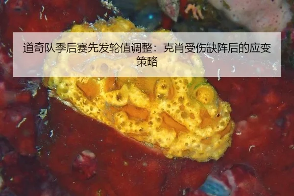 dao-qi-dui-ji-hou-sai-xian-fa-lun-zhi-tiao-zheng-ke-xiao-shou-shang-que-zhen-hou-de-ying-bian-ce-lve-2-410.jpg